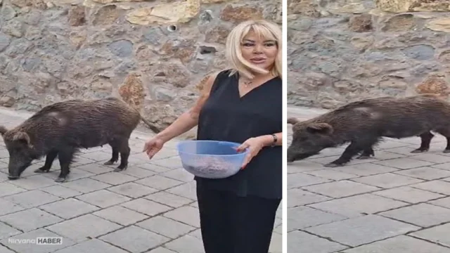 Safiye Soyman'ın kapısını davetsiz misafir çaldı: Korkmadan elleriyle besledi
