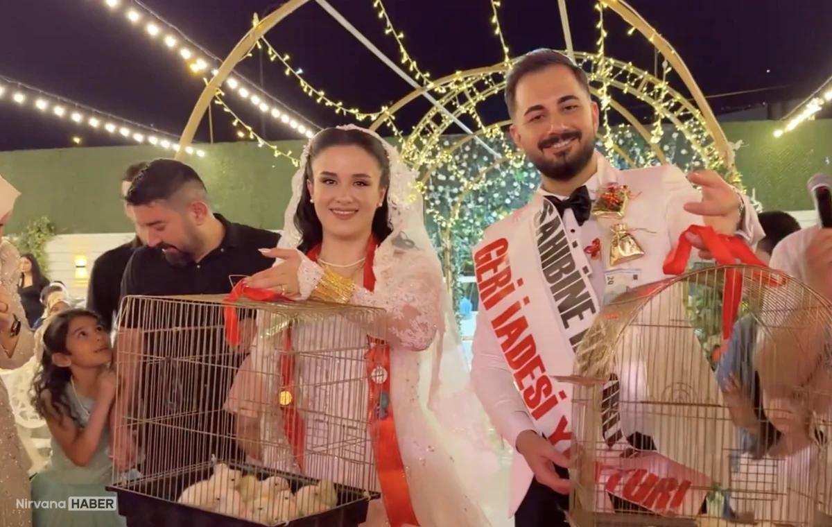 Düğünde görenler şaşırdı! Altın yerine 100 civciv taktı