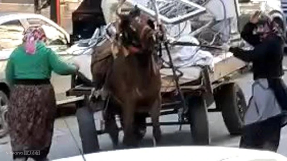 Vicdanları sızlattı: Aşırı yük taşıtıp kemer ve sopayla dövdüler!