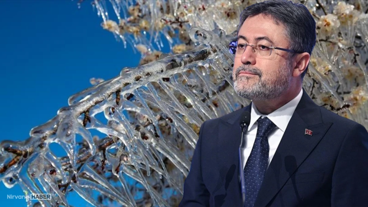 Bakan Yumaklı: "Zirai don ve kuraklıkla düşen üretimimiz bu sene toparlanacak"