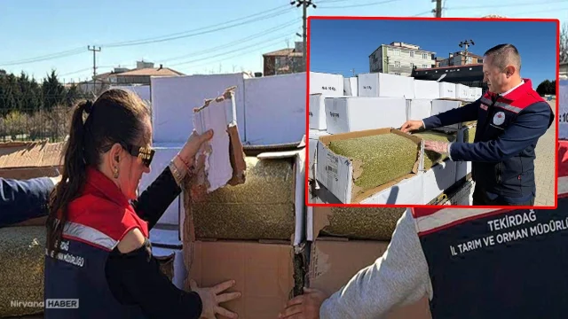 Zehir yedireceklerdi! Kansorejen içeren tonlarca fıstığa el konuldu