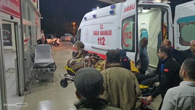 Adana'da küçükbaş hayvan yüklü kamyonet devrildi