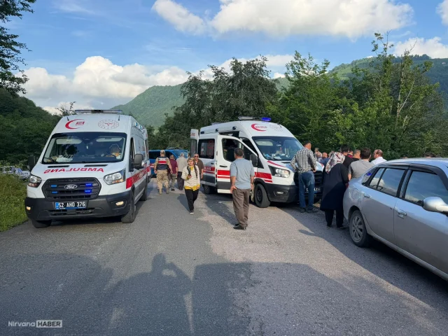 Ordu Kumru'da bir yolcu minibüsü uçuruma yuvarlandı