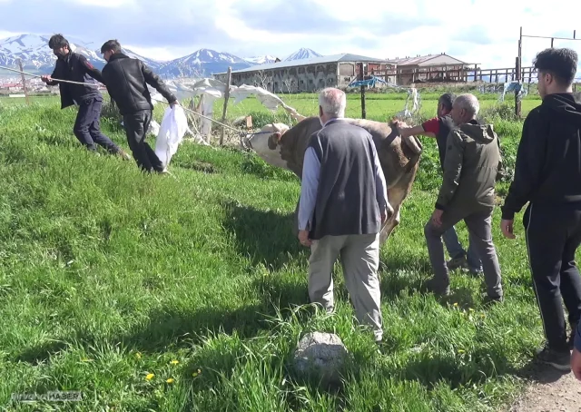 Kurban kesiminde kalp krizi: 65 yaşındaki vatandaş hayatını kaybetti