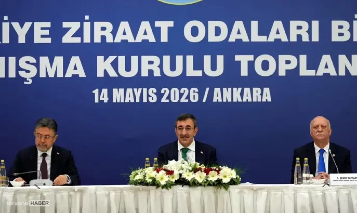 Cevdet Yılmaz: ''Tarımda yaşlanan nüfusu tersine çevirmeliyiz''