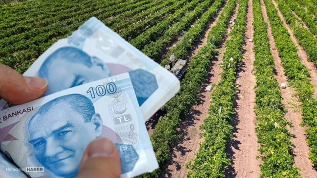 Çiftçilere tarımsal destek ödemesi hesaplara yattı mı? Bakan Yumaklı açıklama yaptı