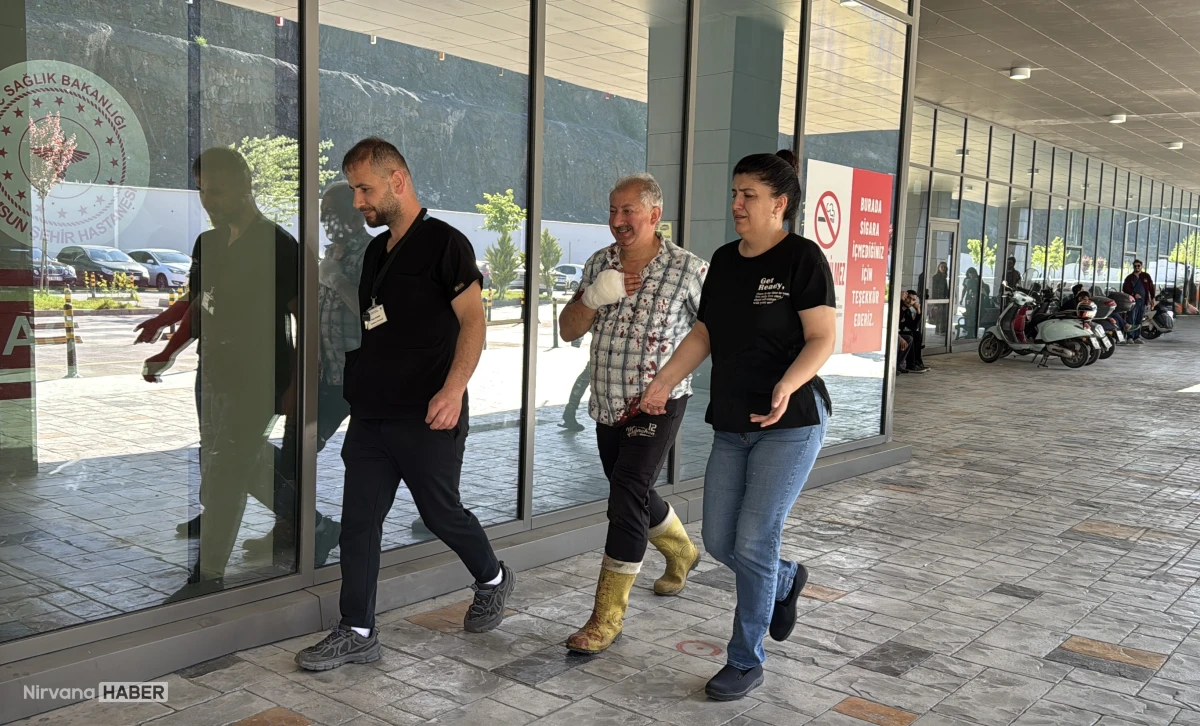 Samsun'da bayramın ilk günü acemi kasaplar hastanelik oldu
