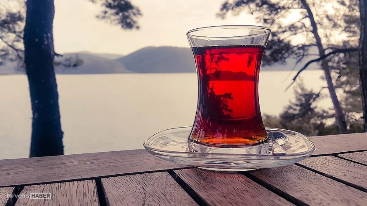 Türk çayının lezzeti dünyayı sarıyor: 124 ülkede alıcı buluyor