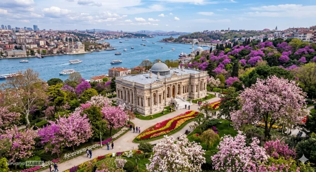 Bu listeyi kaydetmeden baharı planlama! İşte İstanbul'un bahar çiçekleri rotası