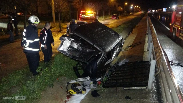 Edirne'de trafik kazası sonrası "Zoiy" isimli kedi kayboldu