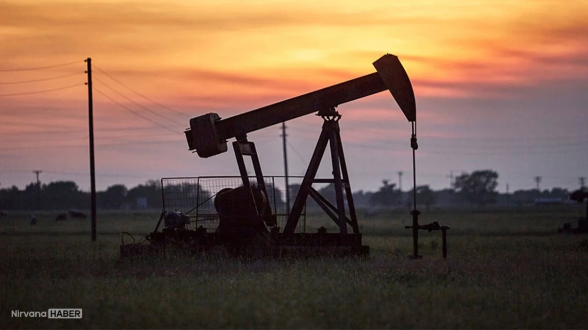 ABD'nin petrol sondaj kulesi sayısı arttı