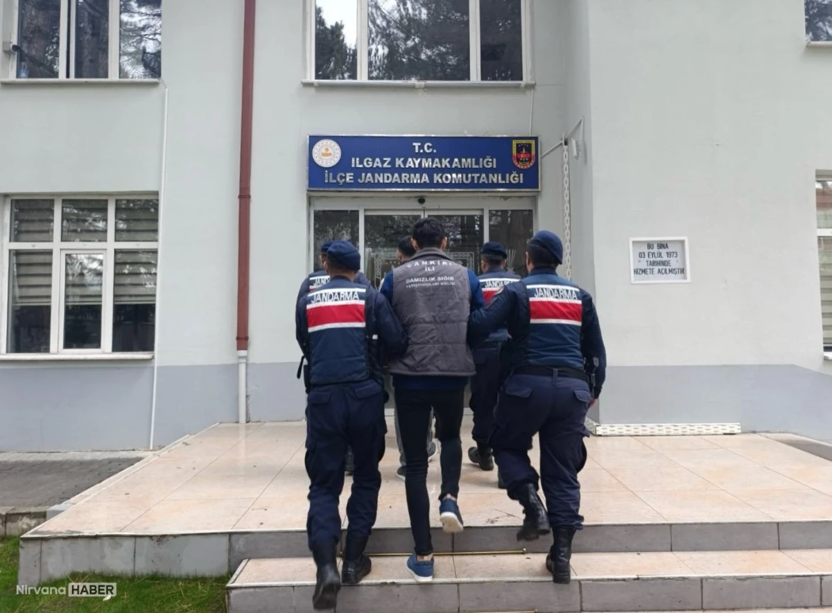 Çankırı'da büyükbaş hayvan çalan 2 şüpheli tutuklandı