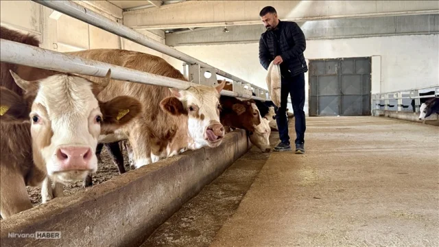 Kurban pazarında beklenen satışlar gerçekleşmedi: Besiciler zarar ediyor