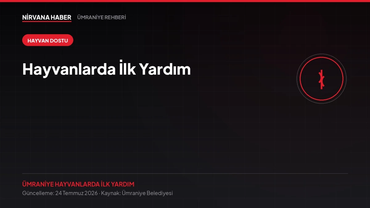 Hayvanlarda İlk Yardım: Yaralı Bir Canla Karşılaştığınızda Ne Yapmalı?