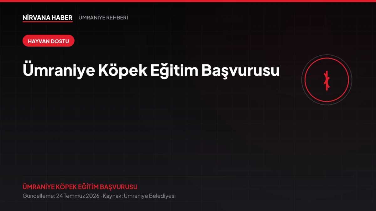 Ümraniye Köpek Eğitim Başvurusu: Belediyeden Ücretsiz Eğitim Desteği