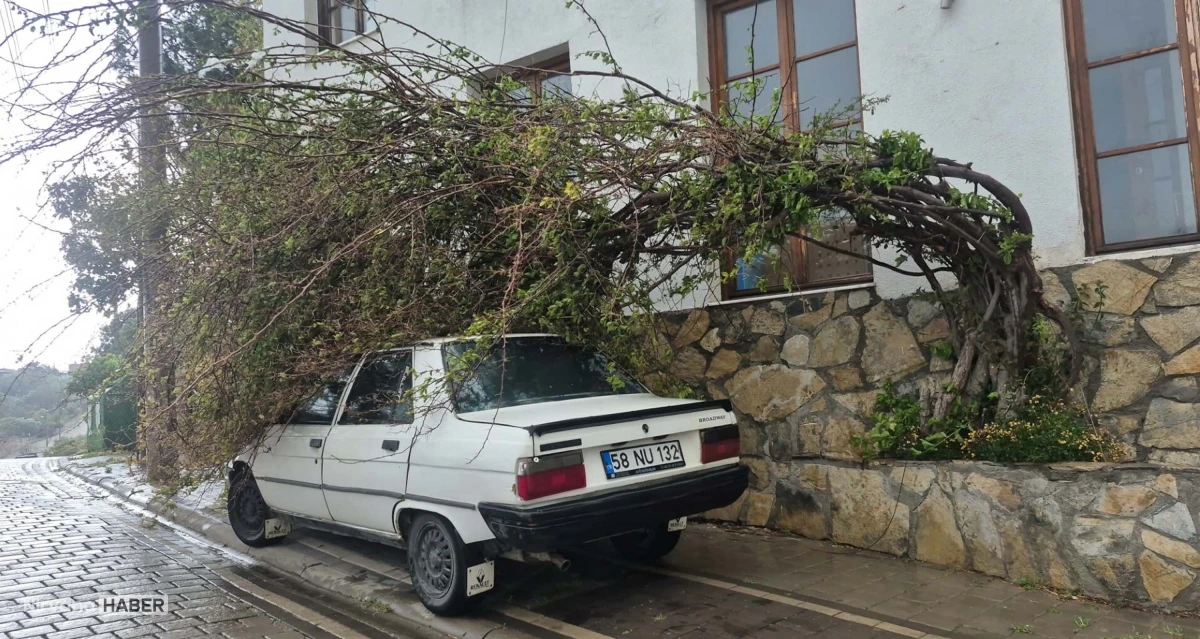 Bodrum’da fırtına hayatı felç etti: Tekneler karaya oturdu, ağaçlar devrildi