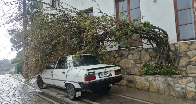 Bodrum’da fırtına hayatı felç etti: Tekneler karaya oturdu, ağaçlar devrildi