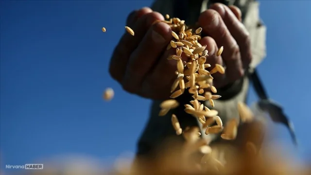 ABD enflasyonu ve Orta Doğu ateşi emtia fiyatlarını altüst etti!
