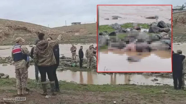 Şanlıurfa'da korkunç olay! Sular çekilince ortaya çıktı