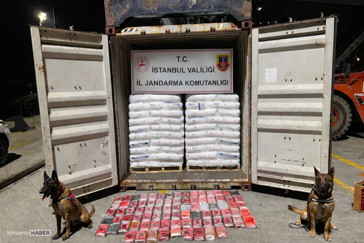 İstanbul'da bir gemiye düzenlenen uyuşturucu operasyonunda 106 kilogram kokain ele geçirildi