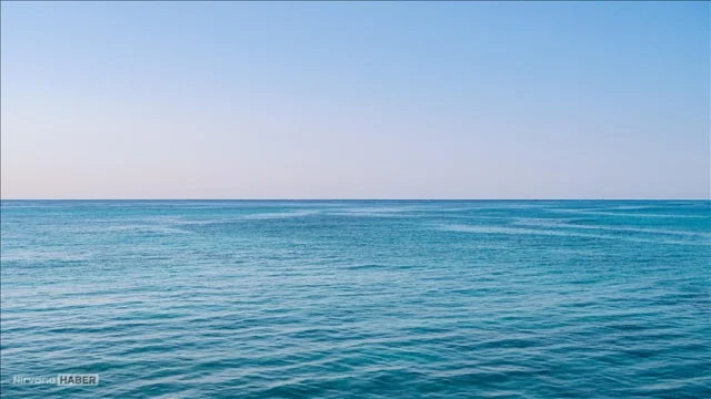 Türkiye, Hint Okyanusu Balıkçılık Komisyonu’na Gözlemci Oldu