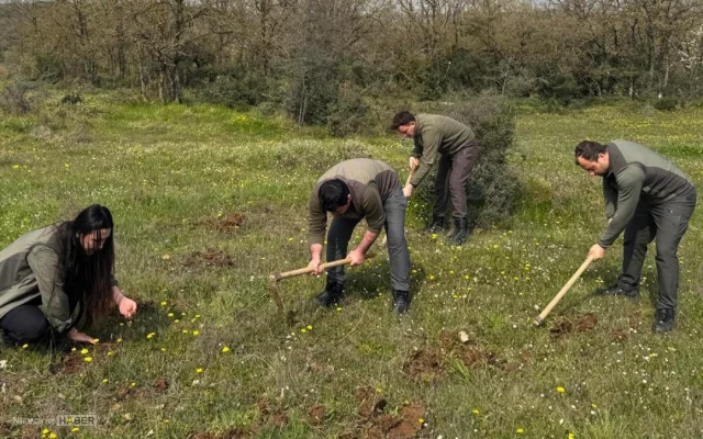 Kocaeli Gebze'de izinsiz salep orkidesi toplayan kişiye 699 bin lira ceza