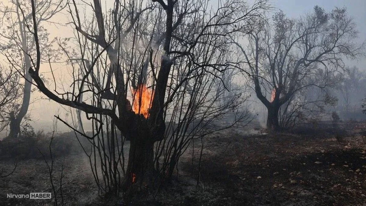 Aşırı sıcakların ardından acil durum: Komşuda yangın ve fırtına alarmı