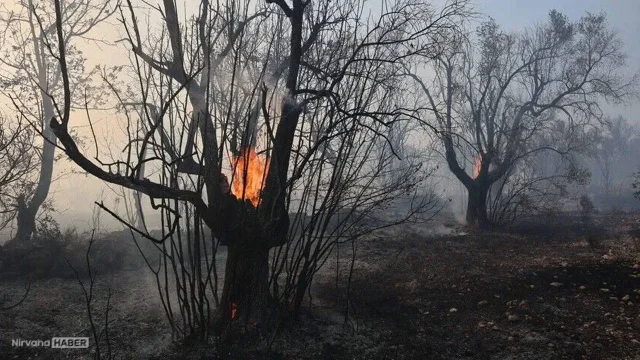 Aşırı sıcakların ardından acil durum: Komşuda yangın ve fırtına alarmı
