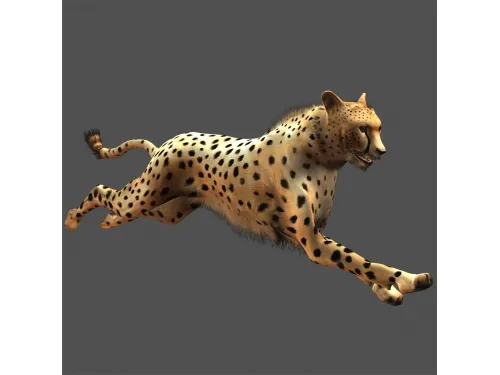 Image 12506