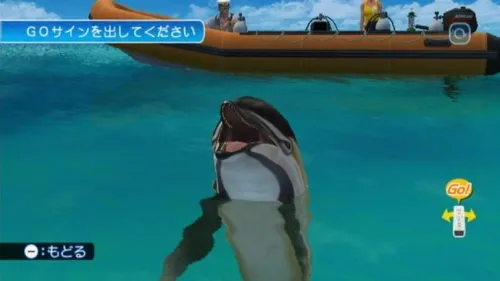 Image 13011