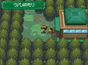 Image 13453