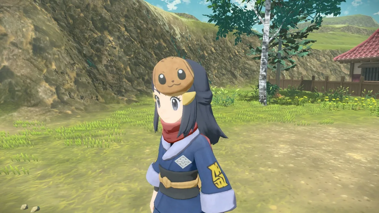 Image 128010