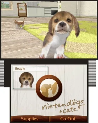 Image 21166