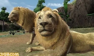 Image 24245