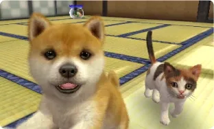 Image 24478