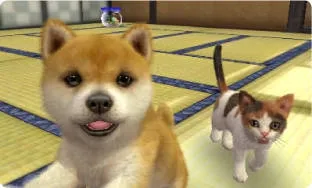 Image 24682