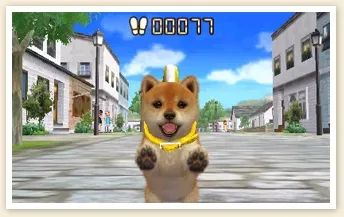Image 25493