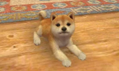 Image 26729