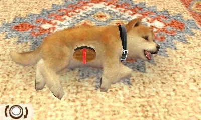 Image 26734
