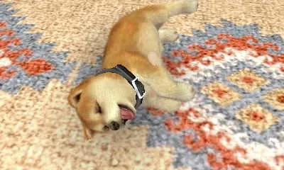 Image 26737