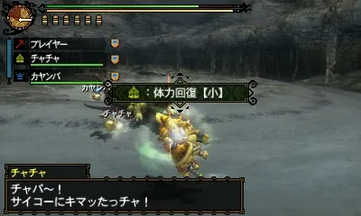 Image 33798