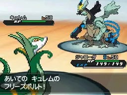 Image 36915