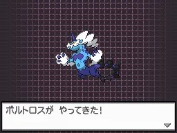 Image 38336