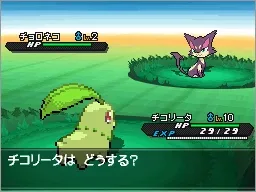 Image 38343