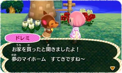 Image 40319