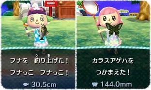 Image 40663