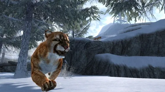 Image 41848