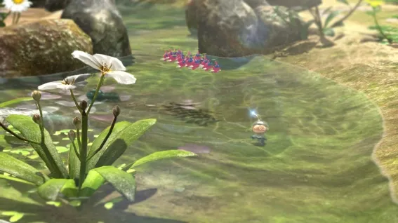 Image 43208