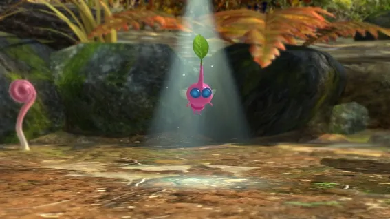 Image 43215
