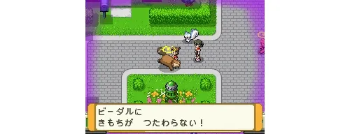 Image 4361